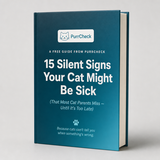 15 Silent Signs Your Cat Might Be Sick